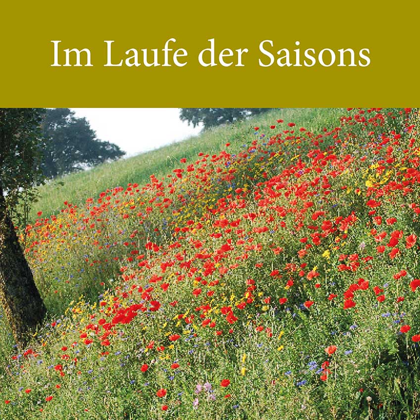Im Laufe der Saisons