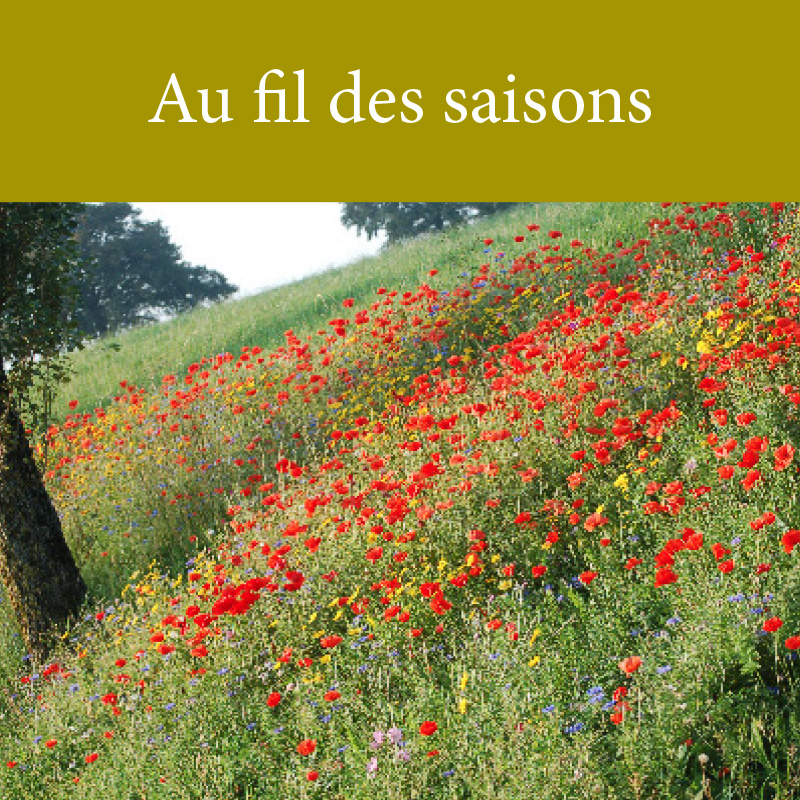 Au fil des saisons